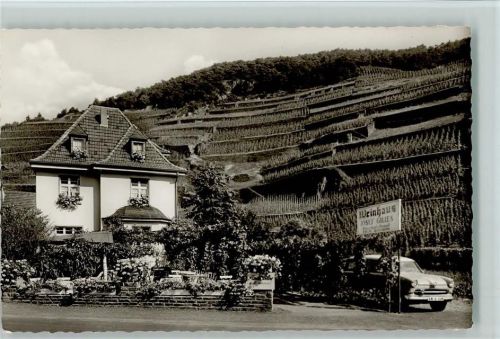 Marienthal Weinhaus Josef Gilles, Weinberge ca 1960 AK