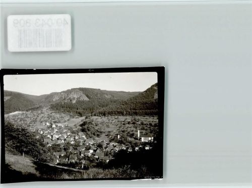 Lautenbach Ortsansicht