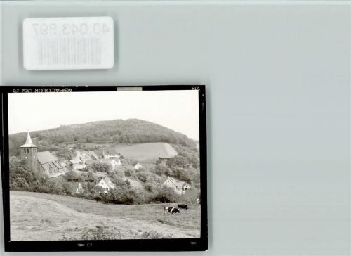 Bergkirchen Kühe beim grasen