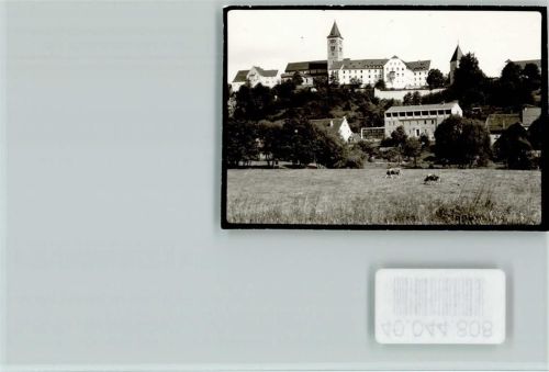 92280 W8455 Kastl b Amberg, Oberpf FOTO KEINE AK Kühe vor der Burg