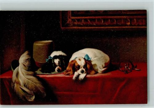 Zwei Spaniel Welpen liegen auf dmr Garderobenschrank - Federhut sign Landseer Stengel 29194 AK Spaniel Künstlerkarte