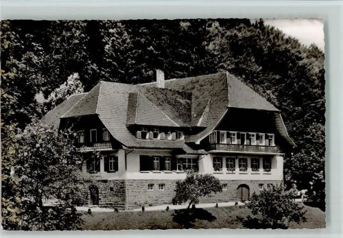 77776 W7624 Schapbach - Gasthof zum Ochsen ca 1959 AK