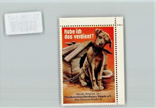 Vignette - Tierschutzverein Starnberg - Hund vor der Hundehütte Tierschutz
