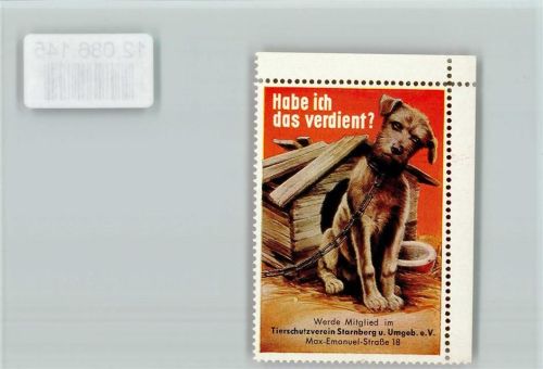 Vignette - Tierschutzverein Starnberg - Hund vor der Hundehütte Tierschutz