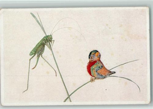 Grille und Vogel