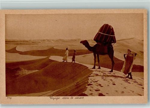 Karawane in der Wüste - Kamele ca 1930 AK Kamel