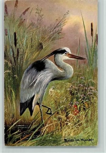 Serie 331 - Reiher - Vögel