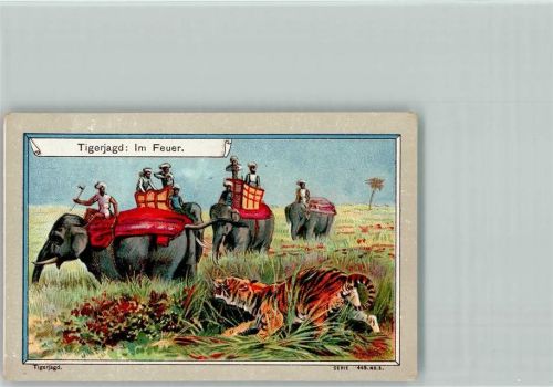 Sammelbild Serie 449-5 - Tigerjagd