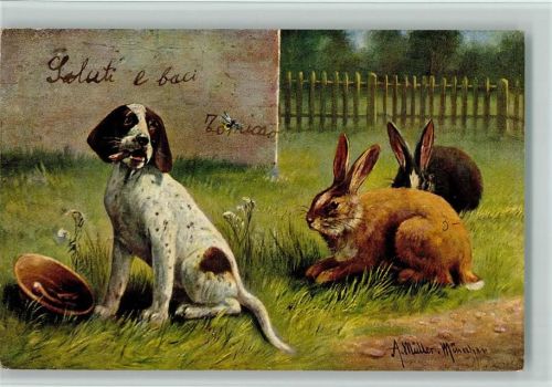 Jagdhund und Hasen - Jagdtiere 1905 AK