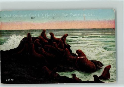 Seal Rocks - San Fancisco, 1920 Cal. USA