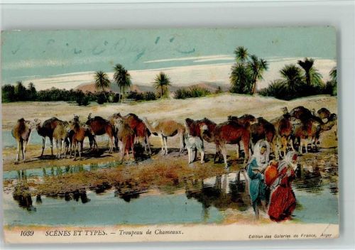 Scenes et Types - Troupeau de Chameaux - Frauen und Kamele am Wasserloch - Volkstypen Kamel