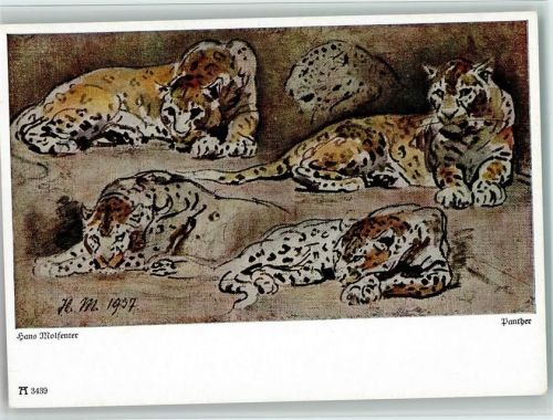 sign Hans Molfenter, Panther , Reihe 329 Ackermann Verlag
