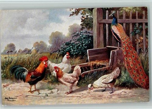 Serie 255 - Pfau und Hühner