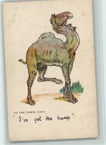 As the Camel said - Humor ca 1912 AK Kamel