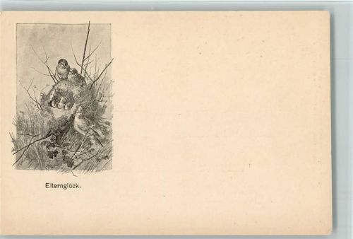 Nr. 23 Berliner Tierschutzverein - Vögel Elternglück 1900 AK