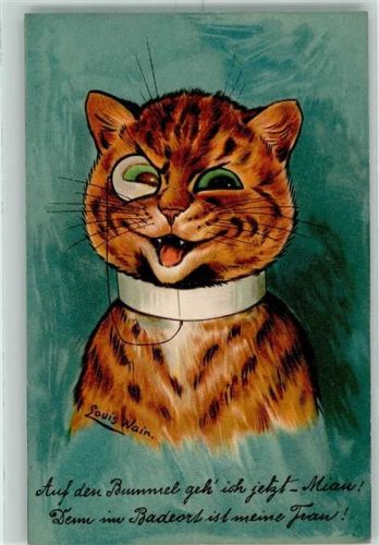 Katze AK