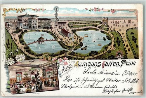 31224 W3150 Peine 1898 Lithographie Aumanns Garten