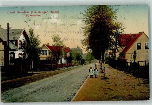 Unterlüß 1911 Straße Birkenallee AK