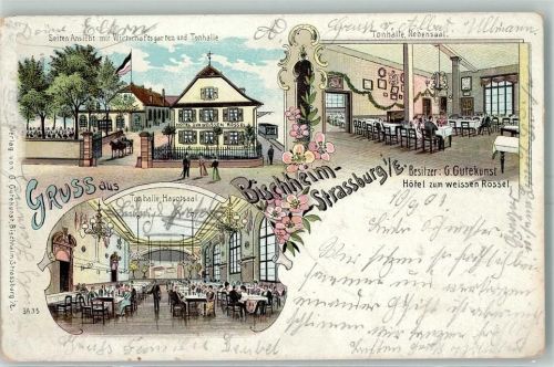 67800 Bischheim 1905 - Gruss aus Hotel zum Weissen Rössel AK