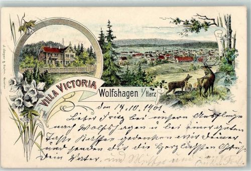 38685 W3394 Wolfshagen im Harz 1901 Lithographie Gruss aus Villa Victoria AK