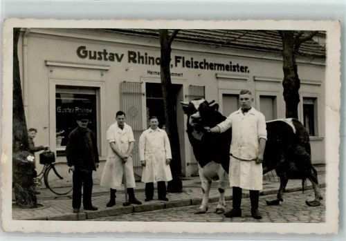 16727 O1420 Velten Privatfoto AK Gustav Rhinow Fleischermeister Kuh