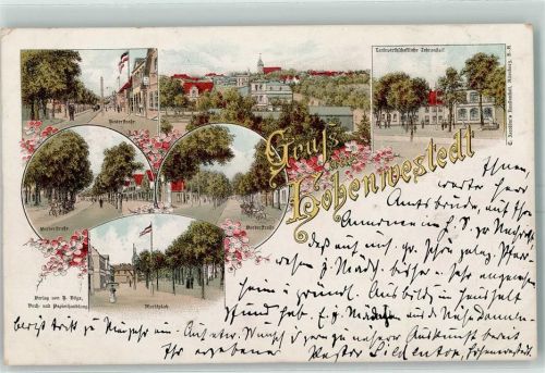 Hohenwestedt 1896 Gruss aus Straße Marktplatz Vorder- und Hinterstraße AL