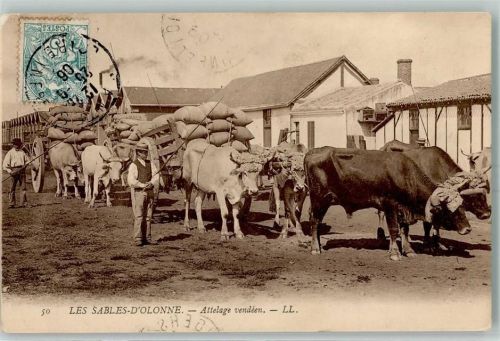 85100 Les Sables-d'Olonne 1906 - Landwirtschaft Tiergespanne Attelage vendeen