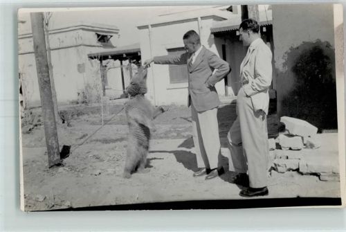 Tanzbär Privatfoto AK
