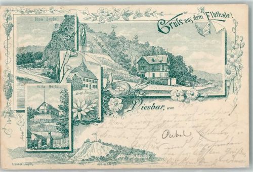 01612 O8401 Diesbar-Seußlitz 1898 Lithographie Böse Bruder Villa Herbst Königl. Forsthaus Elbthal Görischberge Schmetterling Feder-Lithographie