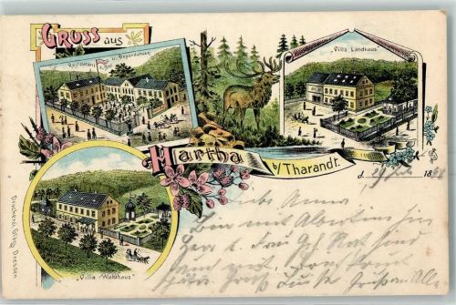Tharandt 1898 Gasthaus Zum Bad und Dependancen Hirsch Villa Landhaus Villa Waldhaus Hartha