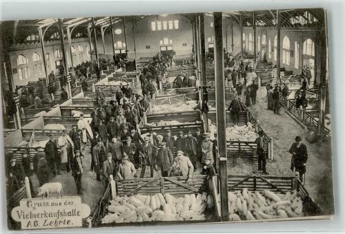 Lehrte Viehverkaufshalle A. G. Schweine