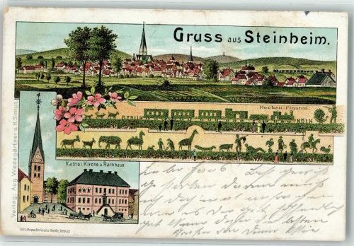 32839 W4939 Steinheim , Westf 1907 Lithographie Kath. Kirche Rathaus Hecken-Figuren