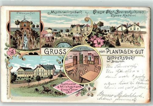Burgstädt Göppersdorf Plantagen-Gut Wasserfall Musterwirtschaft mit Wasserkunst Altdeutsche Weinstube