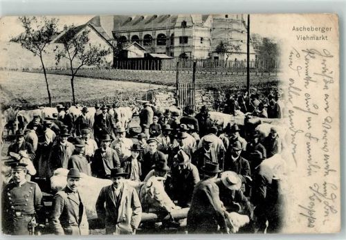 59387 W4715 Ascheberg , Westf 1914 Gebrauchsspuren Viehmarkt Privatfoto-AK
