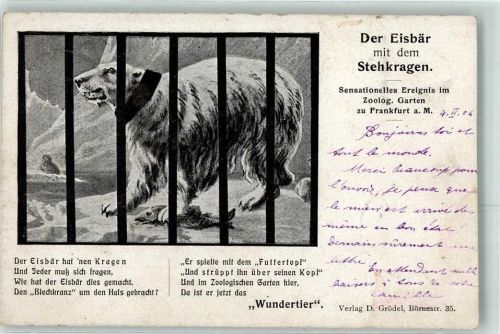 W6000 Frankfurt am Main Eisbär Stehkragen Künstlerfest 1904