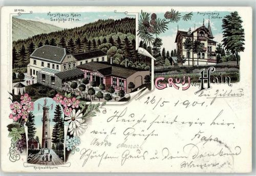 Hain 1901 Forsthaus Hain Pensionshaus Hütter Hochwaldturm
