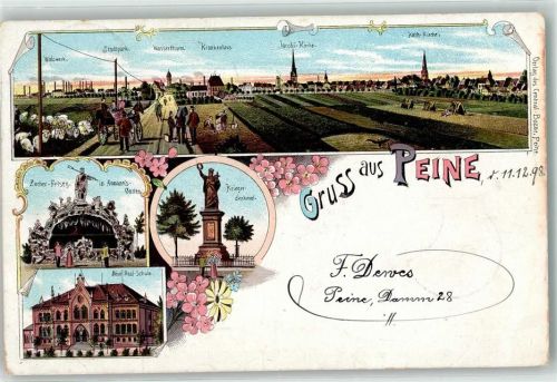31224 W3150 Peine 1898 Lithographie Walzwerk Stadtpark Wasserturm Krankenhaus Zecher-Felsen in Anmanns Garten Kriegerdenkmal Neue Realschule Jacobi-Kirche Kath. Kirche