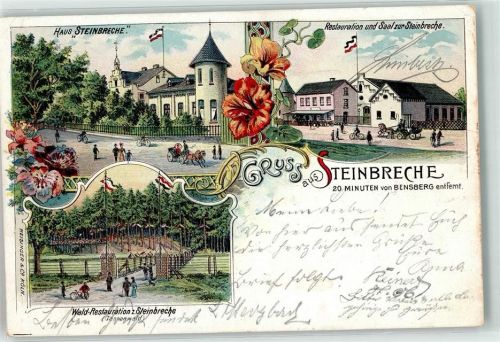 Bensberg 1903 Haus Steinbreche Blumen