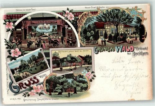 26345 W2935 Bockhorn , Jadebusen 1900 Lithographie Gasthaus Grünen Wald am Urwald Janssen