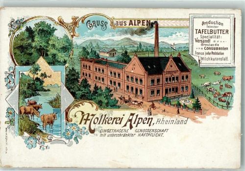 46519 W4234 Alpen Lithographie Molkerei Fabrik Kühe