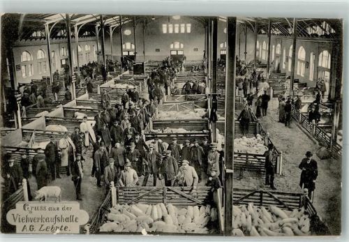 Lehrte 1915 Viehverkaufshalle Schweine