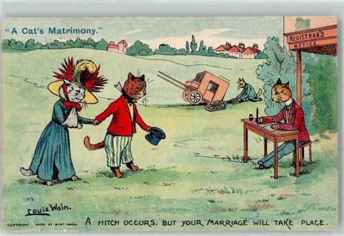 1905 Katzen Kutsche Unfall A Cats Matrimony Tiere vermenschlicht