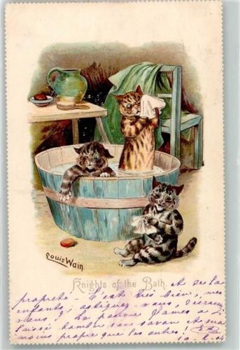 Katzen Badezuber Tiere vermenschlicht Raphael Tuck & Sons Postcard Nr 5892 Knights of the Bath