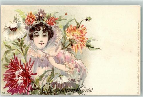 Le Chrysantheme Nr 243