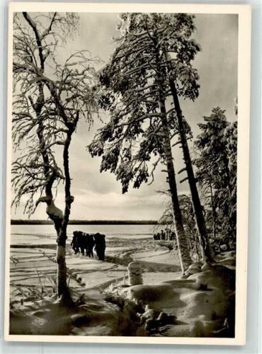 Kampf der SS-Gebirgsdivision Nord in Karelin Winter Kriegsberichter Sigl Russische Föderation SS