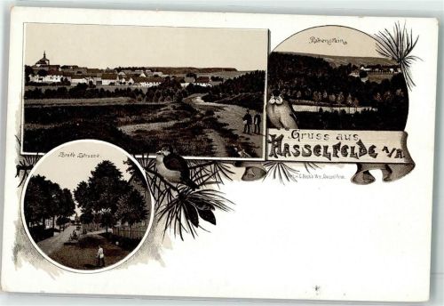 Hasselfelde Eule Breite Straße Rabenstein Vorläufer