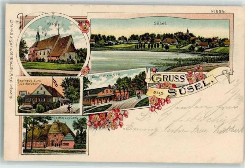 Süsel 1900 Gasthaus Zum Süselerbaum Gasthaus am See Kirche Verlag Bruno Bürger & Ottilie Nr 535