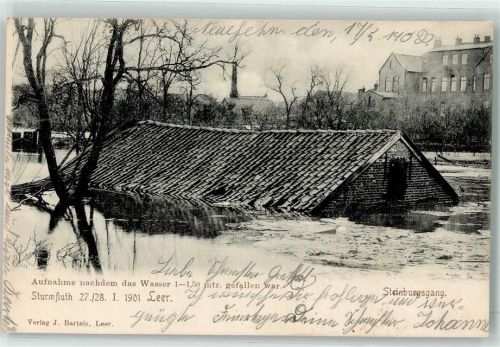 Leer Sturmflut Januar 1901 Steinburgsgang Aufnahme nachdem das Wasser gefallen war