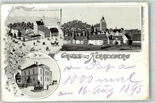 71083 W7033 Herrenberg im Gäu 1898 Lithographie Gasthaus Zum Hasen am Hasenplatz Kgl. Kameralamt