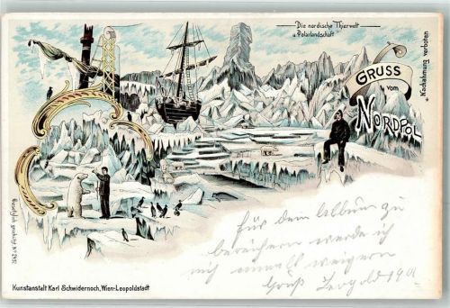 Die nordische Tierwelt Eisbär Polarlandschaft Segelschiff Expedition Nordpol Lithographie